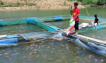 Giảm nghèo bền vững mang lại cuộc sống mới cho đồng bào Cơ Tu ở vùng cao Nam Giang