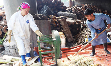 Nông dân Tuyên Quang ‘xẻ núi’ khởi nghiệp làm giàu