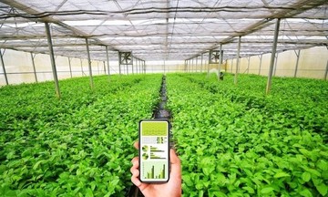 Lào Cai phát huy hiệu quả mô hình HTX điện tử, ứng dụng công nghệ cao