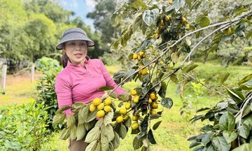 Đòn bẩy đặc sản mở đường thoát nghèo bền vững