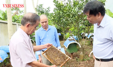OCOP nở rộ trong lòng nông thôn mới, nông dân xứ Nghệ &#039;tiền đầy túi&#039;