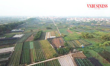 Hà Nội giải ‘bài toán’ khơi thông nguồn lực đất nông nghiệp