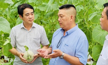 Phát triển kinh tế hàng hóa thúc đẩy giảm nghèo bền vững