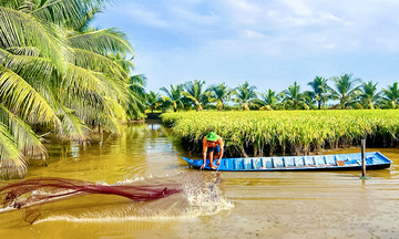 Chớp thời cơ từ ‘món quà bạc tỷ’, nhiều nông dân Cà Mau thành triệu phú, tỷ phú