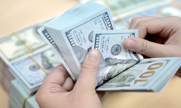 Ngân hàng Nhà nước sẵn sàng bán ngoại tệ khi cần thiết