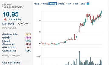 Cổ phiếu EVG &#039;trượt chân nằm sàn&#039; trên đường chinh phục đỉnh