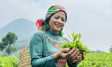 La Bằng: Sức sống mới từ kinh tế hợp tác và du lịch sinh thái