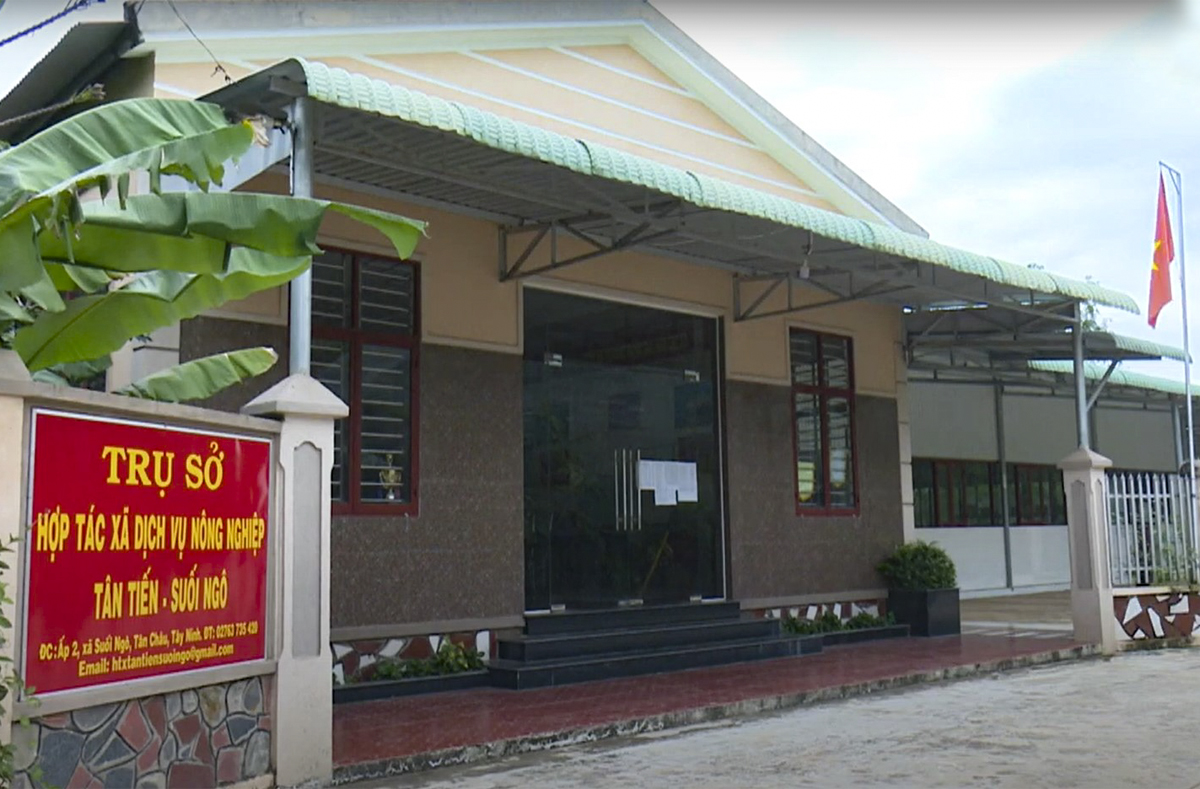Người cựu chiến binh kiến tạo cơ hội thoát nghèo cho bà con nông dân