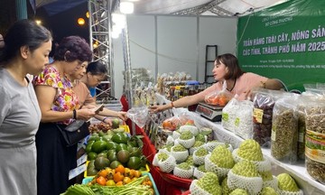 Hà Nội: Hơn 50 doanh nghiệp, hợp tác xã tham gia Tuần hàng trái cây, nông sản 2025