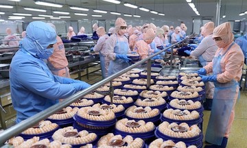 Việt Nam đề nghị Hoa Kỳ xem xét khách quan về thương mại thủy sản