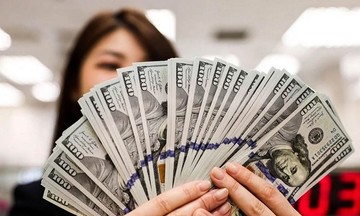 Trước giờ Fed ra quyết định về lãi suất, giá USD trong nước hạ nhiệt