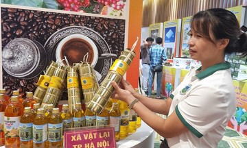 Phiên chợ nông sản, đặc sản vùng miền 2025: Hợp tác xã tự tin chất lượng sản phẩm, mong muốn mở rộng thị trường