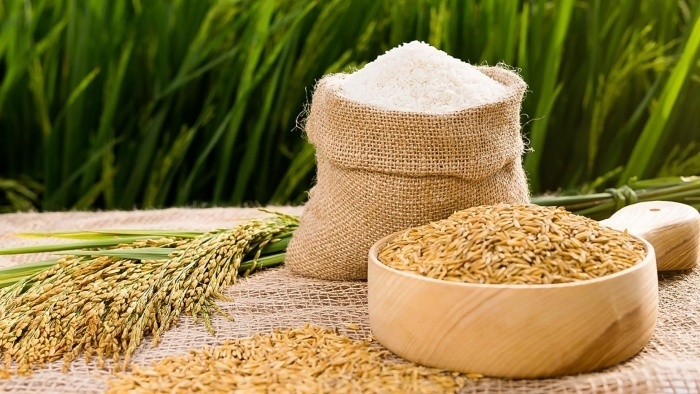 Cổ phiếu ngành gạo 'khó chồng khó'