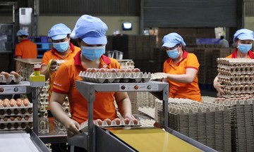 Chăn nuôi chiếm 27% GDP nông nghiệp, Việt Nam nằm trong top thế giới