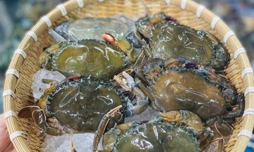 Giảm nghèo ở Cà Mau: Từ con cua công nghệ cao đến sinh kế xanh đất mũi