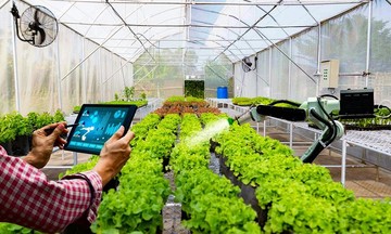 Hà Nội đẩy mạnh truy xuất nguồn gốc nông sản, Hợp tác xã làm hạt nhân cho chuỗi cung ứng an toàn