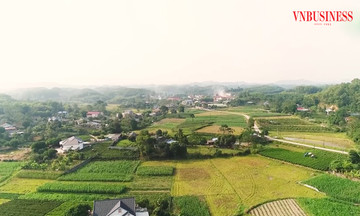 Nông thôn mới nhìn từ những nương chè xanh, vựa nông sản &#039;hái ra tiền&#039; ở Thái Nguyên