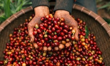 VCCI: Thuế VAT đang ảnh hưởng đến xuất khẩu nông sản