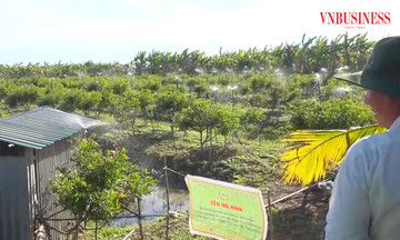 Từ mái nhà đại đoàn kết đến &#039;mô hình 3 tầng sinh thái&#039; đuổi nghèo ở An Giang