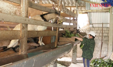 Tiếp sức người dân vươn lên thoát nghèo bền vững ở Nghệ An