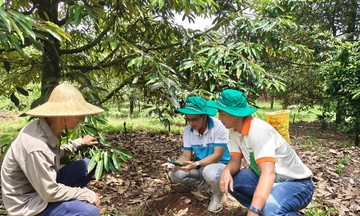 Phú Mỹ hợp tác cùng Enfarm: Bước tiến trong chuyển đổi số nông nghiệp Việt Nam