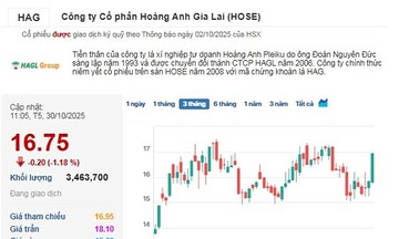 Cổ phiếu của HAGL nhanh chóng &#039;hạ nhiệt&#039;