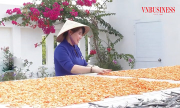 Xây dựng nông thôn mới ở Cà Mau nhìn từ sự &#039;vươn mình&#039; của các HTX