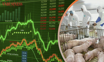 ‘Ngôi sao hy vọng’ cho cổ phiếu chăn nuôi