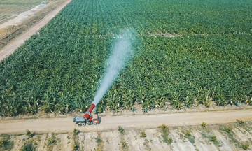 Lỗ lũy kế của HAGL Agrico tiến sát 10.000 tỷ đồng