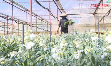 Từ những mùa hoa nở trên đất Đam Rông đến ấn tượng trong xây dựng nông thôn mới ở Lâm Đồng