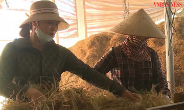 Giải mã thành công trong xây dựng nông thôn mới Ninh Bình: &#039;Chìa khoá xanh&#039; từ kinh tế tập thể