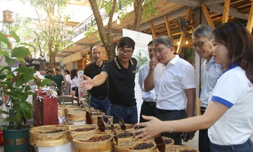 Giá cà phê tăng cao: Cơ hội để HTX nâng tầm bằng cà phê đặc sản