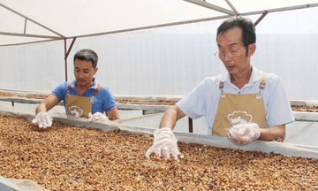 HTX &#039;lên sóng&#039; Net Zero&#039;: Giảm phát thải, tăng giá trị nông sản