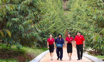 Agribank xanh hóa tín dụng – “Cầu nối” để phát triển năng lượng xanh tại Việt Nam