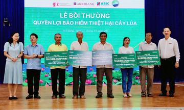 Bảo hiểm thiệt hại cây lúa - “Tấm lá chắn” giúp nông dân Đồng bằng sông Cửu Long an tâm bám ruộng