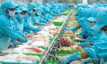 ‘Rộng đường’ cho cổ phiếu thủy sản