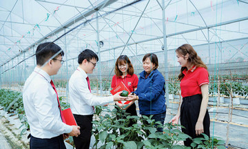 Agribank với trách nhiệm ESG toàn diện, từ “vốn xanh” đến an sinh cộng đồng