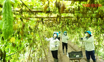 Tầm nhìn chiến lược cho kỷ nguyên &#039;hợp tác xã số&#039; từ Nghị quyết 57