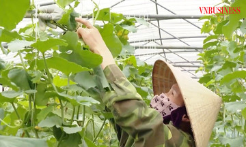 Nông thôn mới đẹp hình thức, giàu nội dung ở Nghệ An