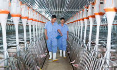 BaF Việt Nam muốn rút ngắn thời gian giải ngân trả nợ vay từ phát hành trái phiếu