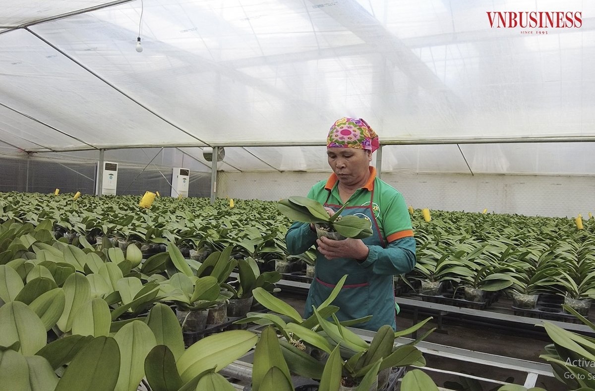 Khoa học công nghệ tạo sức bật để HTX tăng trưởng đột phá