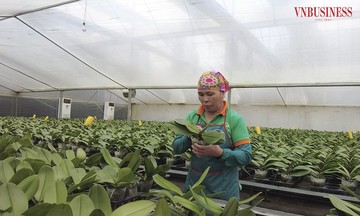 Khoa học công nghệ tạo sức bật để HTX tăng trưởng đột phá