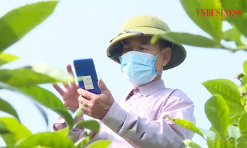 Tư duy và hành động mới từ Nghị quyết 57: Chuyển đổi số là con đường tất yếu để HTX &#039;hóa rồng&#039;