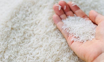 Giá gạo xuất khẩu giảm, HTX bị bào mòn lợi nhuận