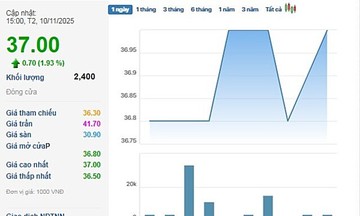 Đối mặt sức ép từ hàng tồn kho, cổ phiếu ‘tân binh” của hệ sinh thái Đất Xanh vẫn tăng nóng