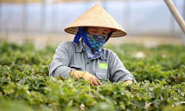 Quỹ tích lũy nội bộ: &#039;Phao cứu sinh&#039; tự thân của HTX