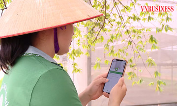 Chuyên gia hiến kế để HTX số hóa với chỉ &#039;một người, một máy tính&#039;