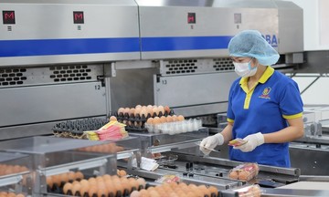 &#039;Nữ hoàng trứng&#039; Ba Huân bị cưỡng chế dừng làm thủ tục hải quan do nợ thuế