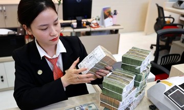 Dư nợ tín dụng xanh còn quá thấp, chuyên gia kiến nghị gì?