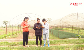 Đổi mới tư duy trong quản trị HTX: Nghĩ lớn, làm lớn, trúng lớn